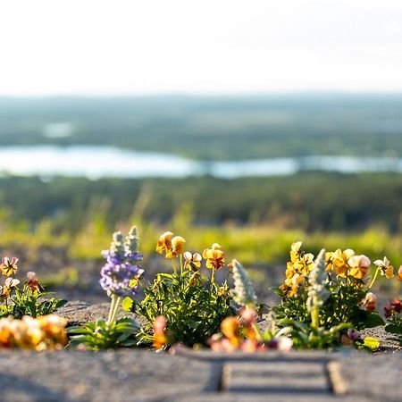 Holiday In Lapland - Levi Postintie 3B 322 Ngoại thất bức ảnh